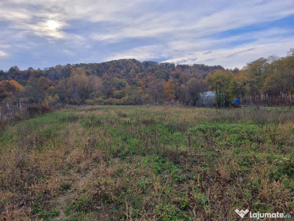 Teren intravilan, 4960 mp, utilități, sat Rasova, Băleș