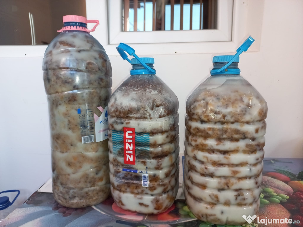 Jumari de porc de vanzare proaspete se vând la bidon de 5 l