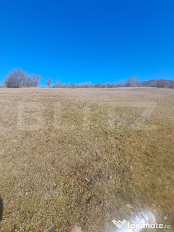 Teren intravilan, perfect pentru casa de vacanta, 5000 mp, A