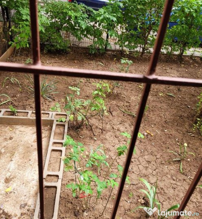 Brancoveanu confort 3 prasilei parter