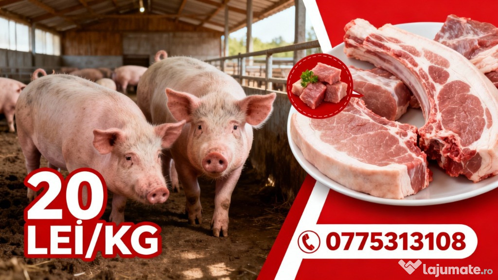 Vand Porci Crescuti la tara bio