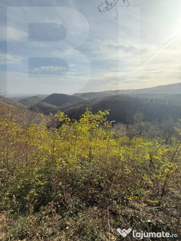 Teren extravilan impadurit, 20424 mp ideal pentru investitie