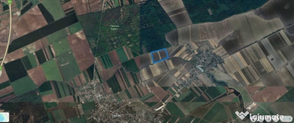 Teren de vanzare in Ilfov, Gagu, deschidere 74ml, 20762mp, 62.000euro