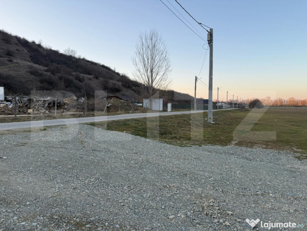 Teren intravilan industrial, 4307 mp, Podari