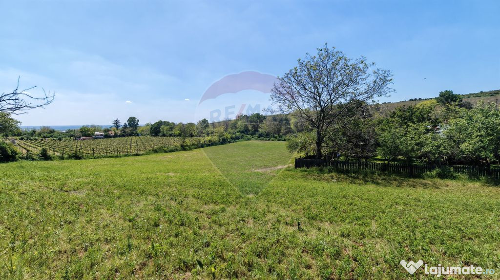 Tere cu constructie de vanzare in Urlati