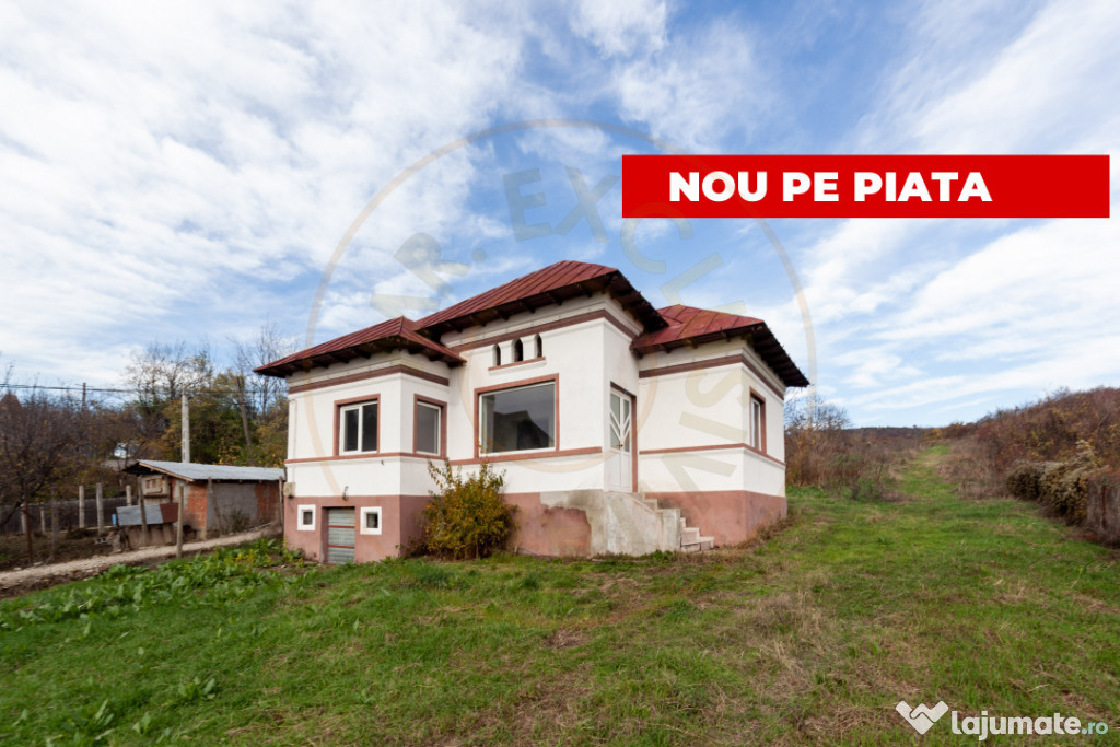 Casa la tara cu teren generos in zona Calinesti-Ciocanesti -