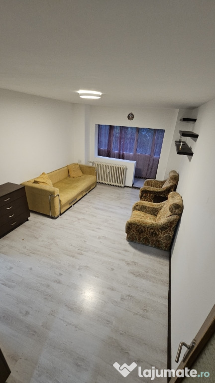 2 camere Delfinului