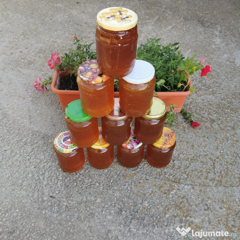 Miere rapiță polifora