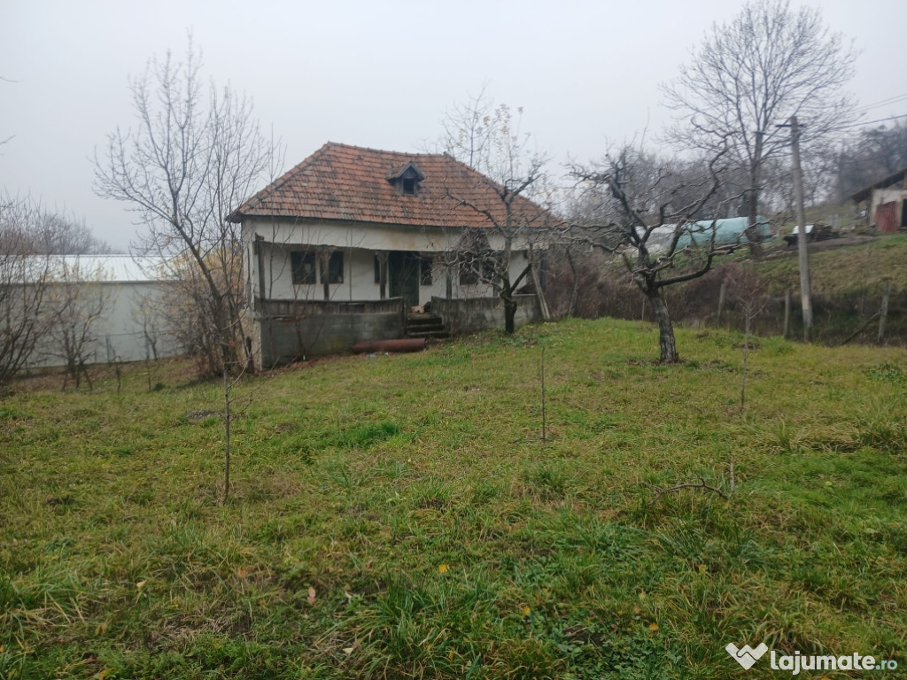 Teren 2900mp + Casa de vanzare Miclosanii Mari, Dambovita