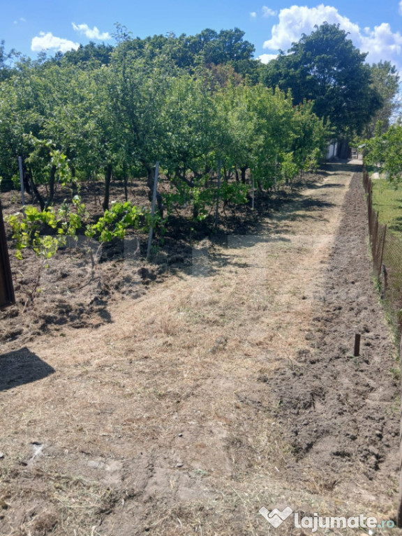 Casa de vanzare 800 mp curte, 32 mp utili, Bratovoești