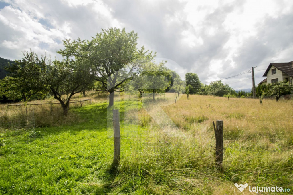 Teren investitie Bran - Predelut, la 2 km de Castelul Bran