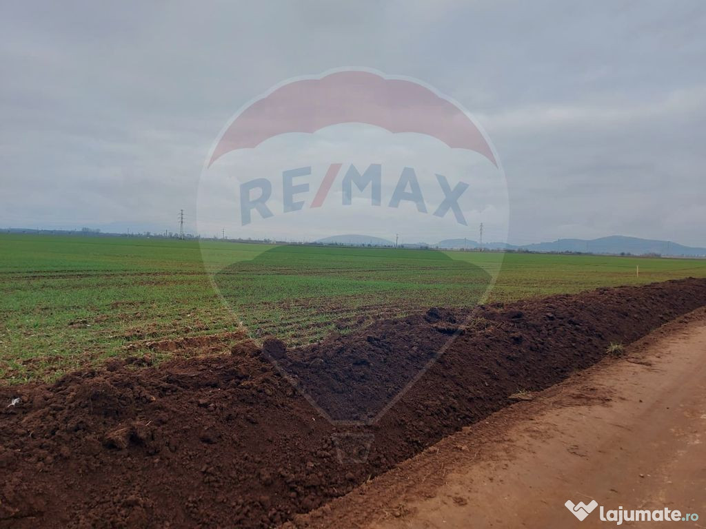 Comision 0 %! Teren extravilan, 21,175 mp Hărman