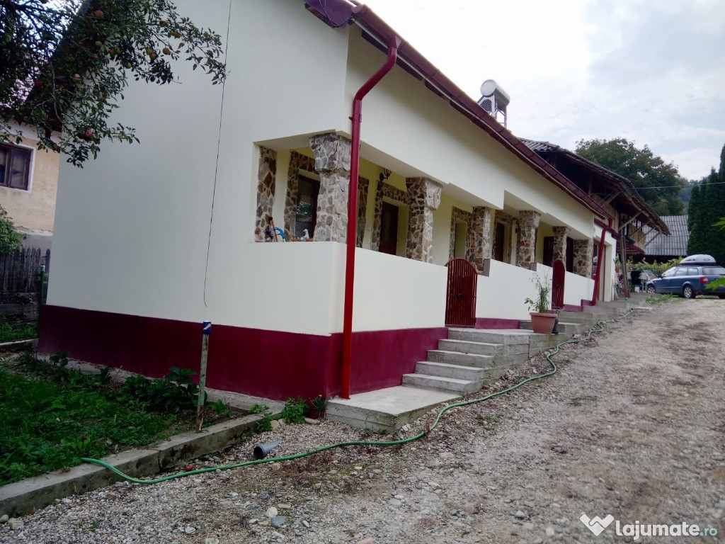 Case la curte cu mult teren Jupanesti, Arges
