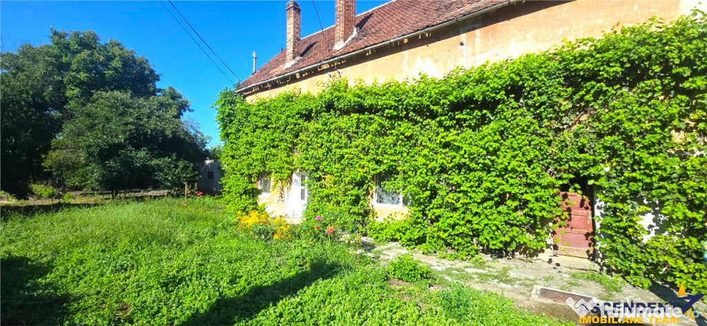 Duplex, personalizabil, cu 1.000 mp teren, Prejmer, Brasov