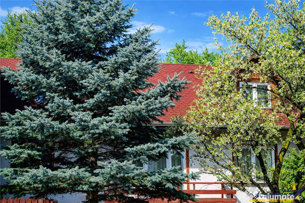 In Vintage style, cu acces auto in curte proprie, zona Star