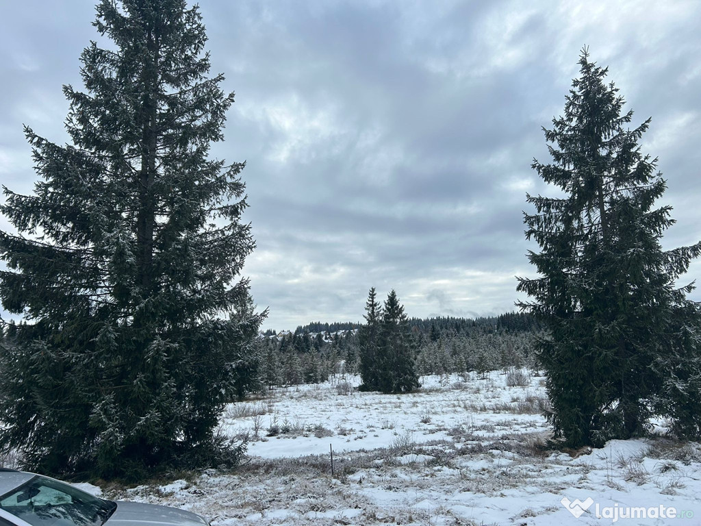 Teren de vânzare Belis