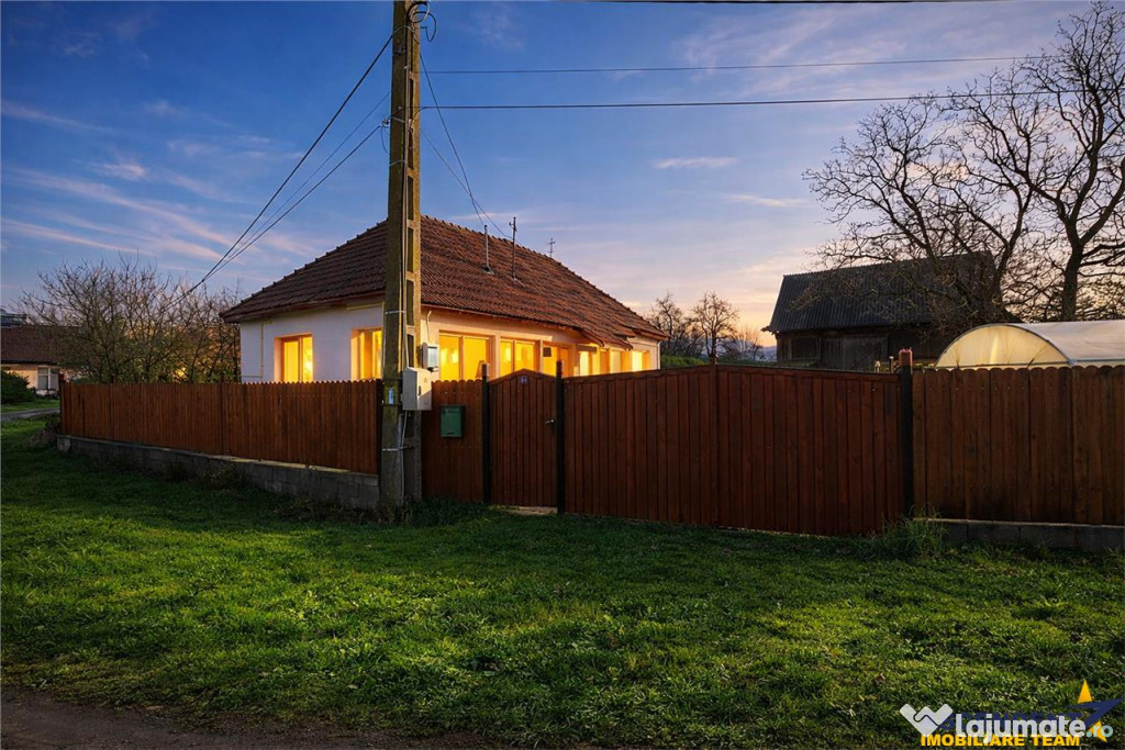 FILM! Casa cu sura, pivnita, balta cu pesti, 2.280 mp teren