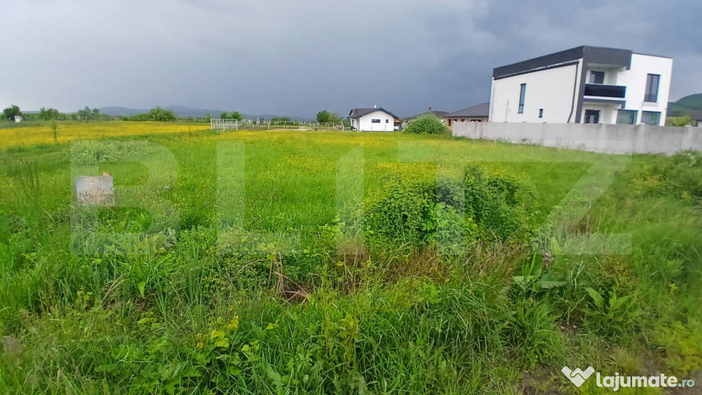 Teren extravilan 16 arii Jelna