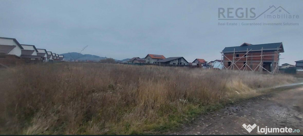 Teren Intravilan 700MP Cu Autorizatie Si Proiect Sanpetru