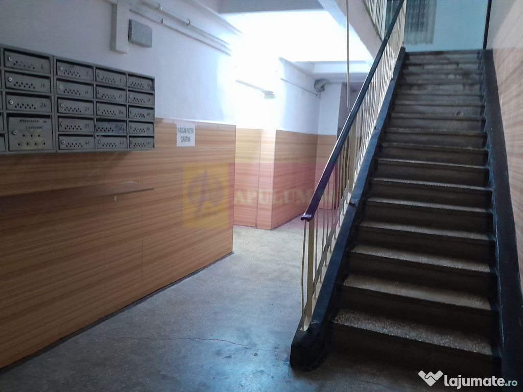 Inchiriere 2 cam Valea lunga - 400 eur