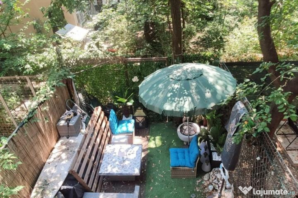 Baba novac muncii dristor strada prieteniei