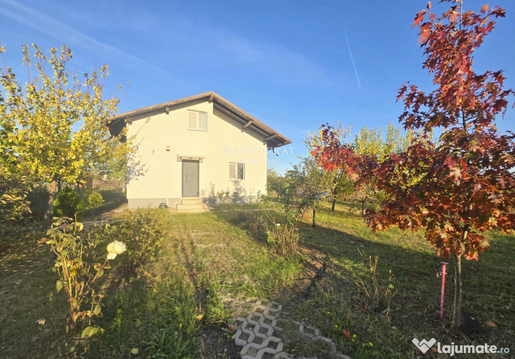 Casa 3 camere si curte cu pomi fructiferi