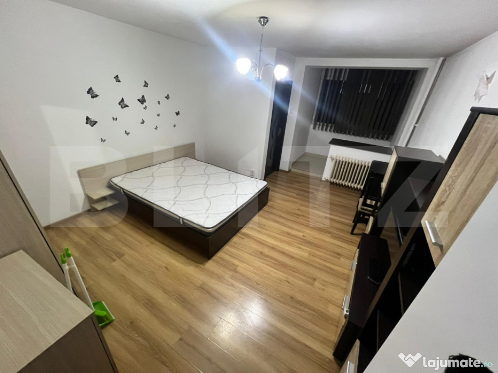 Garsoniera Brazda lui Novac