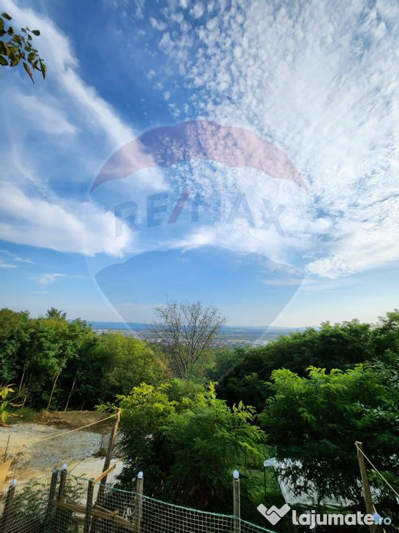 LOCATIE DEOSEBITA - Miron Costin