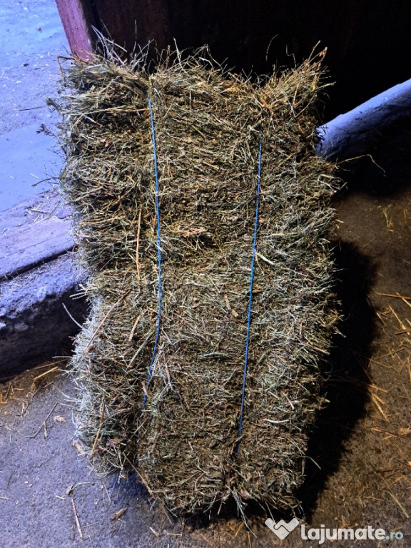 Baloti de otava 15 lei bucata