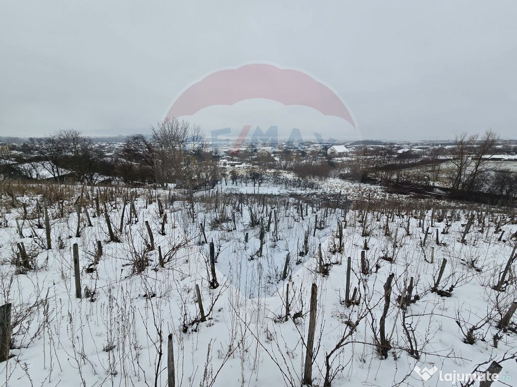 Teren intravilan 7000 mp Simnic, Izvor