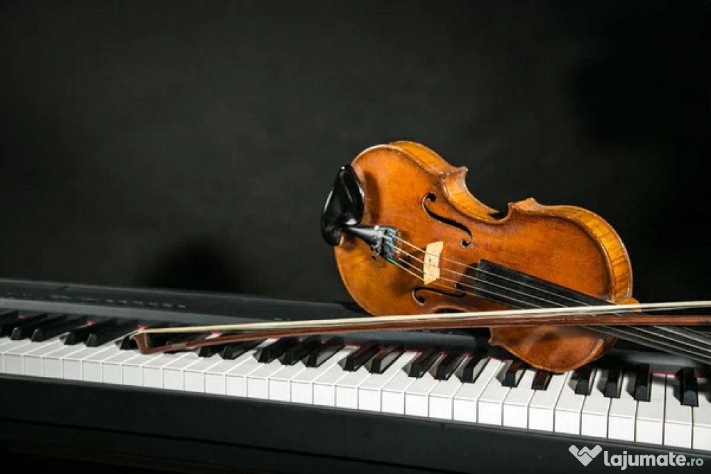 Lecții de Vioară, Pian, Canto și Teoria Muzicii !