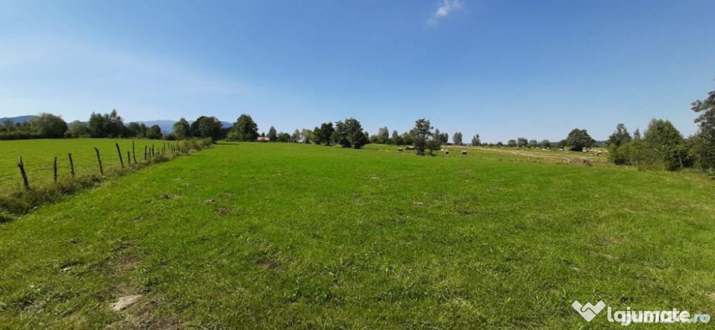 Teren 9350 mp Bran Livada, Extravilan