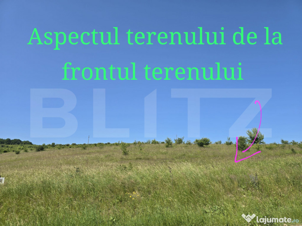 Teren intravilan construibil in Salicea