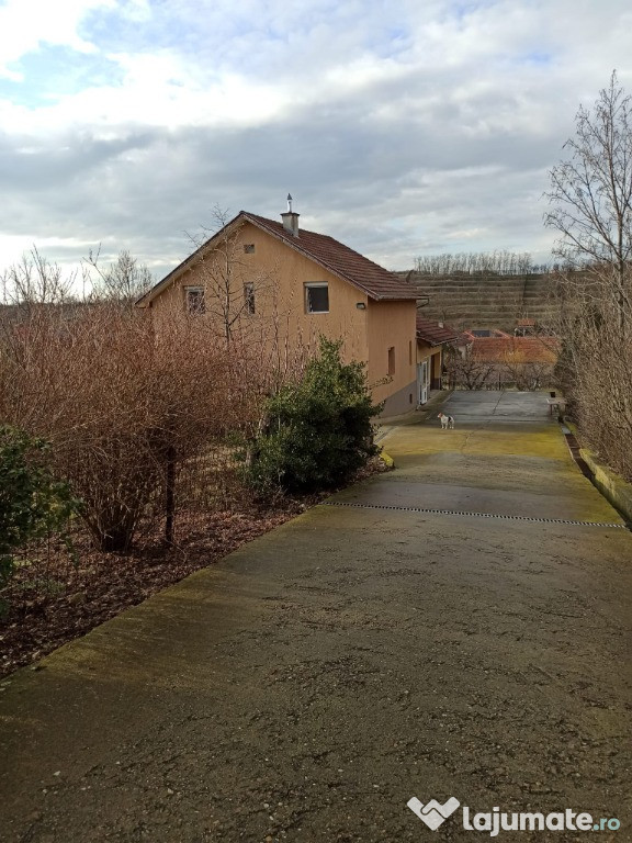 Casa zona Spitalului Oradea - teren 2200 mp