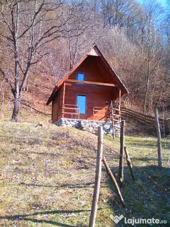 Cabana de lemn de brad in jud. Arges, sat Bradulet -Central