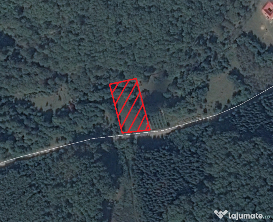 Teren 5000 mp. la Casoaia - 14286