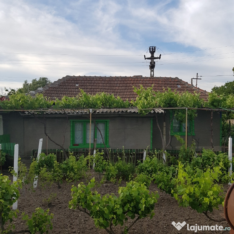 Casa batrânească Saraiu sud est