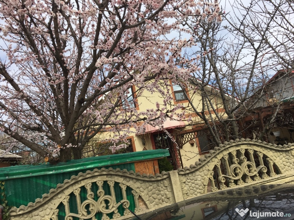 Casa Valu Lui Traian, Constanta