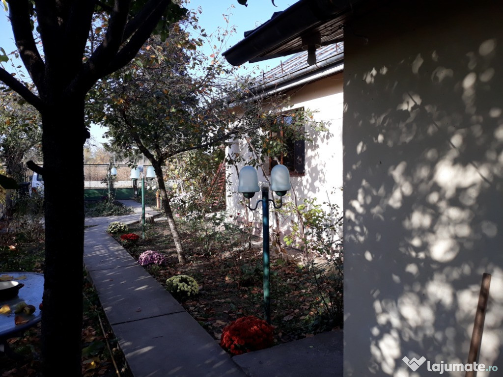 Casa de vacanta Catunu (Cornesti)