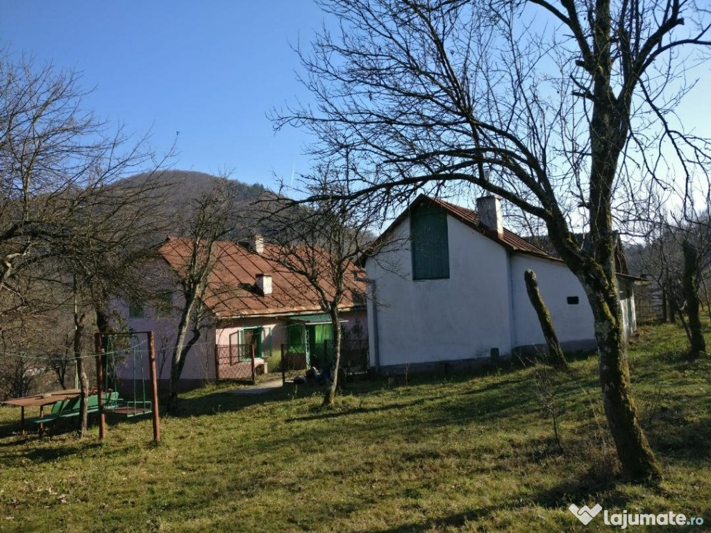 Casa Rusca montana cu teren 1,7 ha