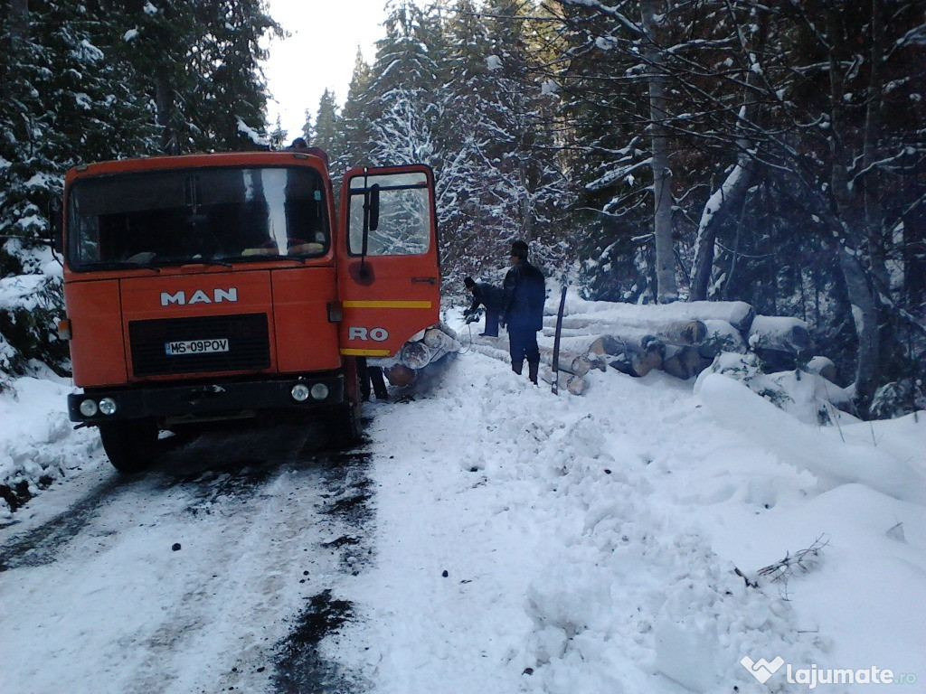 Camion forestier roman schimb