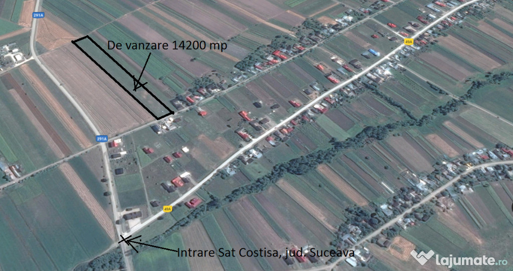 Teren in Costisa Judetul Suceava 14200mp
