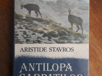 Antilopa Carpatilor - Aristide Stavros (vanatoare) / R5P1S