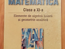 Elemente algebra liniara geometrie analitica cls IX Burtea
