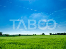 Teren de vanzare 9369 mp langa viitoarea centura Sud a Sibiu