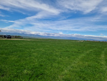 Teren extravilan 25.254 mp în zona Preajba