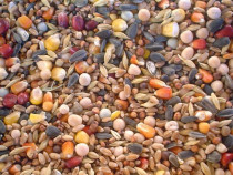 Cereale, Uruiala, Mixuri semințe