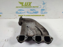 Galerie de admisie 1.4 tdi bms bnv  Volkswagen VW Polo 4 [20