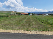 Teren intravilan 4079mp în satul Tomești, jud Harghita.
