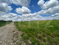 Parcele , 550 mp , intravilan , zona noua Itcani